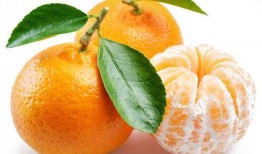 橘子娱乐吃瓜队,揭秘娱乐圈幕后风云